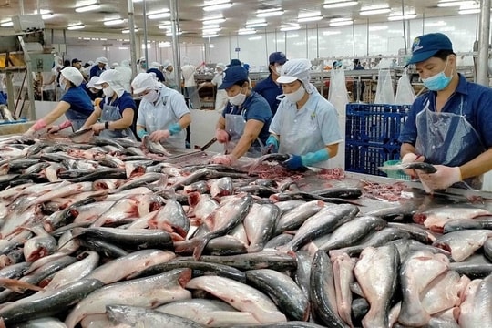 Xuất khẩu thuỷ sản có thể đạt kỷ lục hơn 10 tỷ USD