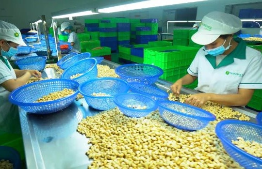 Xuất nhập khẩu hàng hóa vượt 600 tỷ USD