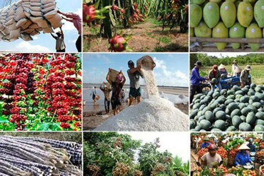 An ninh, an toàn thực phẩm là vấn đề hệ trọng, vừa cấp bách, vừa lâu dài