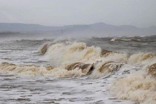 Các tỉnh, thành phố từ Quảng Ninh đến Cà Mau chủ động ứng phó với gió mạnh trên biển