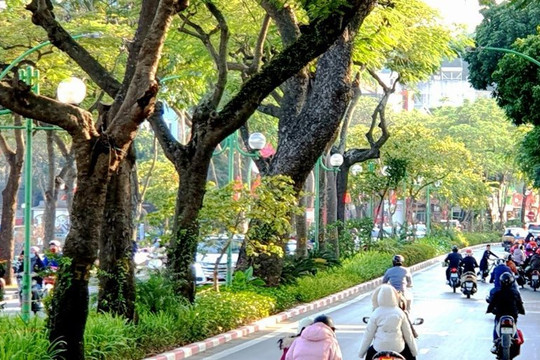Bắc Bộ và Bắc Trung Bộ có sương mù, trời tiếp tục rét về đêm