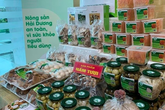 Đẩy mạnh quảng bá sản phẩm OCOP 