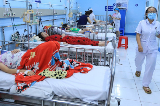 Đà Nẵng: Số ca sốt xuất huyết tăng nhanh, nguy cơ nhiều ca biến chứng nặng