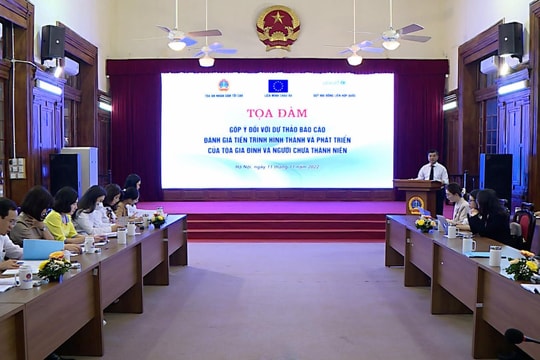 Góp ý tiến trình thành lập Tòa Gia đình và Người chưa thành niên