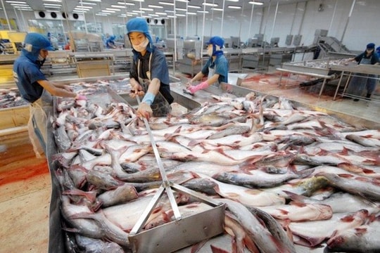 Xuất khẩu thủy sản sắp cán đích lịch sử 10 tỷ USD