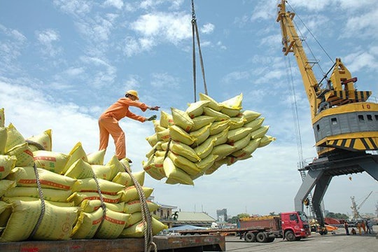 Giá xuất khẩu gạo Việt sẽ cao đến hết năm 2022