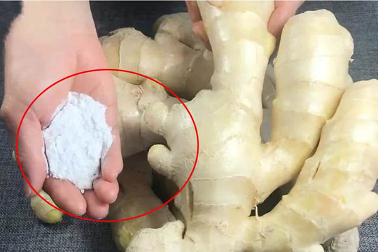 Phương pháp bảo quản gừng, cho một nắm này cùng, để nửa năm mà không nảy mầm, có tác dụng quá tốt