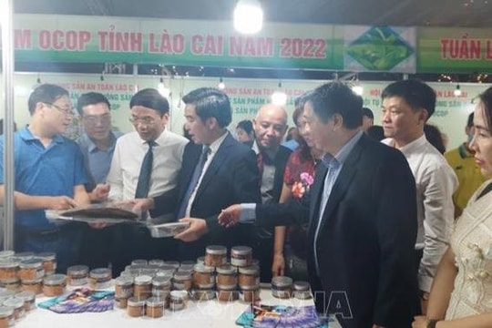 Khai mạc lễ hội sản phẩm OCOP gắn với văn hóa miền Trung và Tây Nguyên