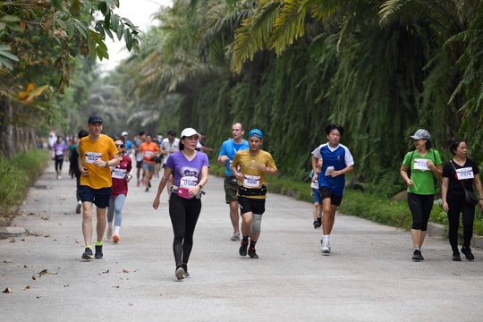 Chạy bộ gây quỹ từ thiện - BritCham Charity Fun Run