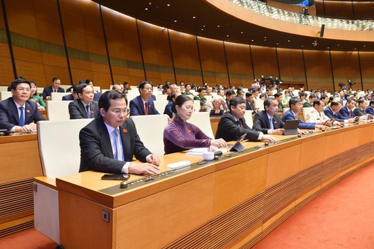 Thí điểm đấu giá biển số xe ô tô trong 3 năm