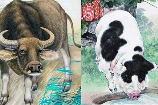 Trong sáu tháng tới, tài vận chuyển từ suy giảm sang vượng phát, vận xui biến mất, tài lộc sẽ song hành cùng 4 con giáp