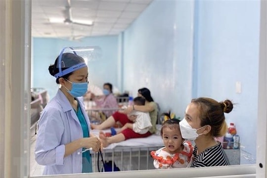Cả nước hơn 300.000 ca mắc sốt xuất huyết, Bộ Y tế kêu gọi diệt lăng quăng, bọ gậy
