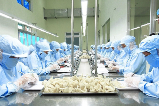 Chính thức được xuất khẩu chính ngạch tổ yến sang Trung Quốc