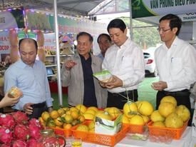 Thanh Hóa điểm đến hấp dẫn cho các nhà đầu tư, du khách