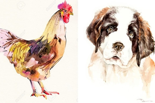 Tử vi 12 con giáp thứ 6 ngày 18/11/2022: Tuổi Tuất nhận tin vui tài chính, Dậu cần đề phòng tiểu nhân