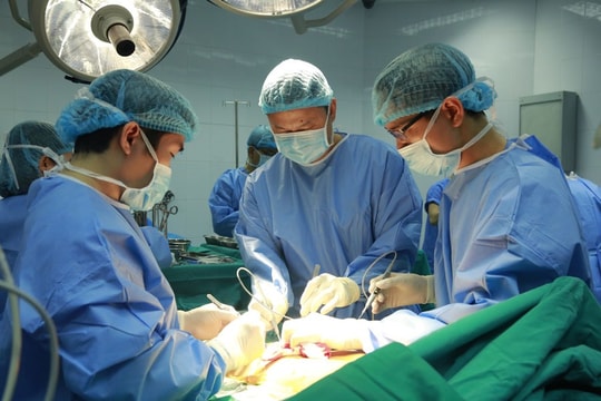 6.550 ca ghép tạng tại Việt Nam trong 30 năm qua
