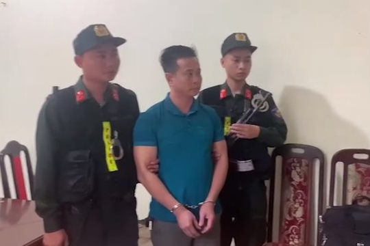 Giám đốc doanh nghiệp phá rừng ở Điện Biên bị bắt