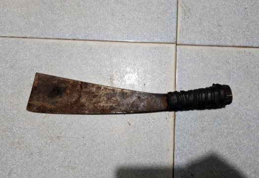 Cầm dao đuổi chém bạn vì chê chó gầy