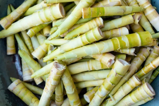 Mua măng tươi đừng chọn ngắn hay dài, cứ nhìn 3 điểm này, người bán tài mấy cũng không lừa được bạn