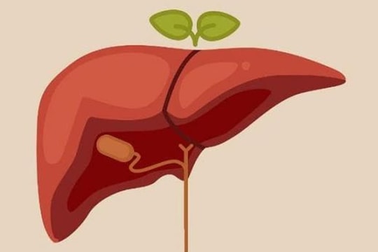 Công bố 6 hành vi “hại gan”, uống rượu bia là điều cuối cùng, lời khuyên của bác sĩ: đừng nên coi thường