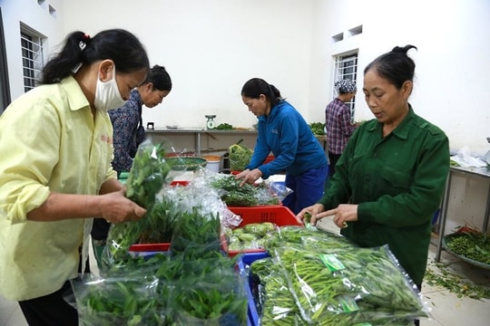 Nông dân Vĩnh Yên sản xuất kinh doanh giỏi, đoàn kết giúp nhau xóa đói, giảm nghèo
