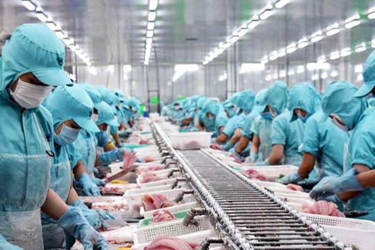 Xuất khẩu thủy sản có khả năng sẽ cán mốc 11 tỷ USD