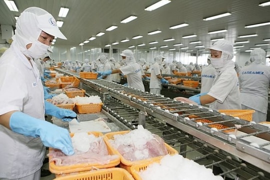 Giải bài toán cho doanh nghiệp thủy sản thiếu đơn hàng