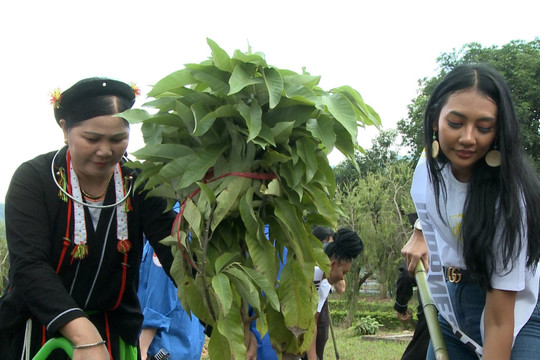 Vĩnh Phúc: Phát động trồng cây vì Phát triển du lịch và bảo vệ môi trường