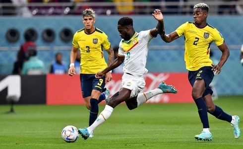 Hà Lan, Senegal là hai đội đi tiếp tại bảng A World Cup 2022