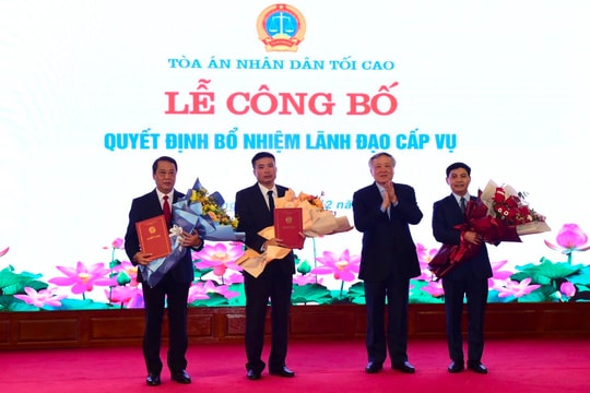 Bổ nhiệm Tổng Biên tập Báo Công lý và hai lãnh đạo cấp Vụ TANDTC