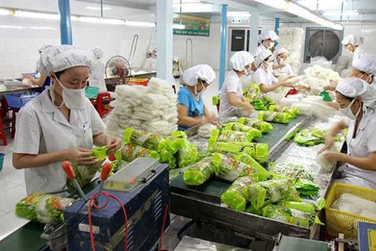 Xuất khẩu rau quả 11 tháng 2022 ước đạt 3,1 tỷ USD