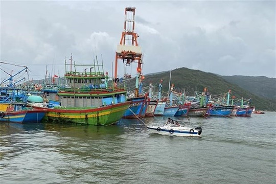 Việt Nam kêu gọi các nước ASEAN có biện pháp cụ thể, hữu hiệu để chống đánh cá trái phép