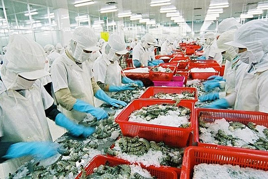 Ngành thủy sản ghi dấu mốc lịch sử với kỷ lục 10 tỷ USD