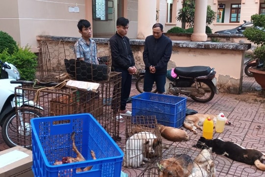 Công an Đắk Nông triệt phá nhóm đối tượng trộm cắp chó liên tỉnh
