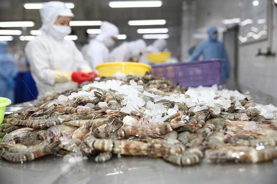 Xuất khẩu tôm sang thị trường Hàn Quốc tăng 33%