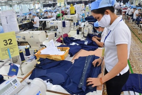 Giải pháp cho xuất khẩu dệt may trong giai đoạn 2023 – 2025