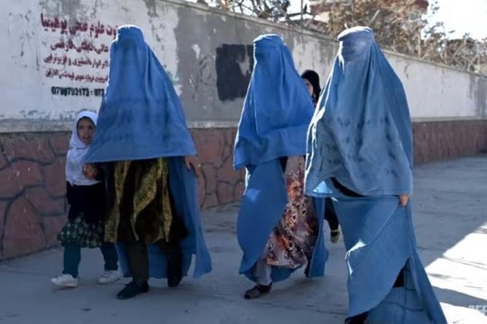 Tin vắn thế giới ngày 25/12: Taliban buộc các tổ chức phi chính phủ không cho phụ nữ làm việc