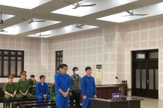 Bảo lãnh chuyên gia “dỏm” ở lại Việt Nam trái phép