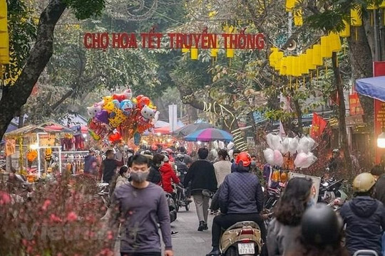 Những tuyến đường nào bị cấm để tổ chức chợ hoa Xuân ở Hà Nội?