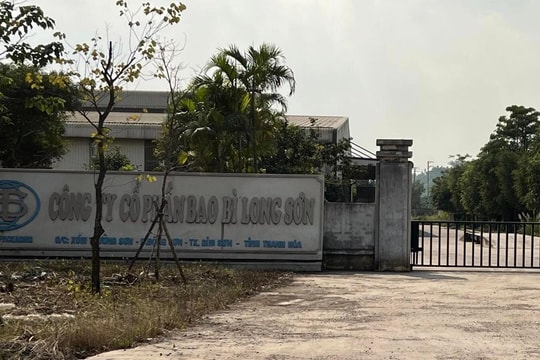 Xử phạt Công ty Cổ phần bao bì xi măng Long Sơn gần 650 triệu đồng