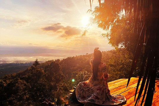 Vườn “táo tiên” ở Cáp treo Núi Cấm