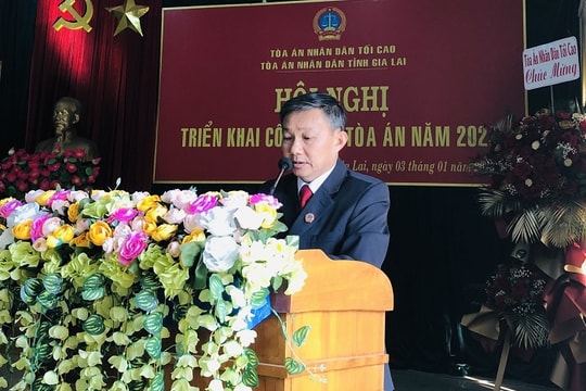 TAND hai cấp tỉnh Gia Lai: Vượt khó hoàn thành nhiệm vụ công tác năm 2022