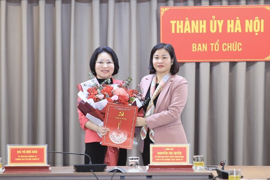 Thành ủy Hà Nội biệt phái cán bộ sang làm Phó Bí thư Đảng ủy Cục thuế