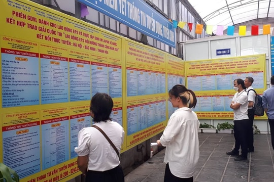 Hà Nội tổ chức phiên giao dịch việc làm chuyên đề dịp cận Tết