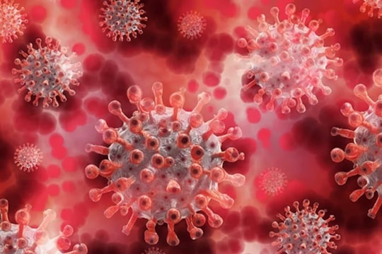 WHO: Không phát hiện biến thể mới của virus SARS-CoV-2 tại Trung Quốc