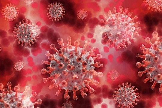 WHO: Không phát hiện biến thể mới của virus SARS-CoV-2 tại Trung Quốc