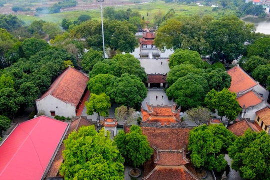 Câu chuyện văn hóa: Hái lộc đầu năm