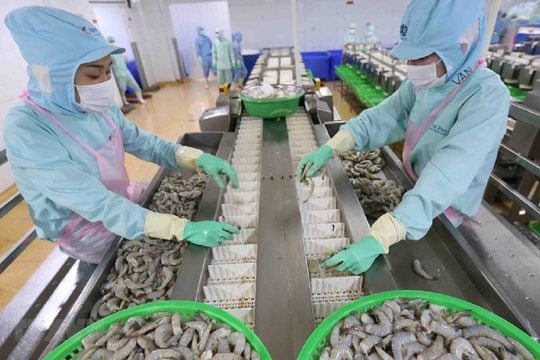 Xuất khẩu thuỷ sản năm 2023 sẽ cao hơn giai đoạn 2020 - 2021
