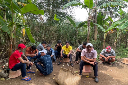 Triệt phá 2 tụ điểm đá gà ăn thua bằng tiền vào ngày Tết