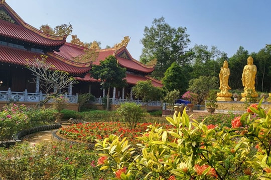 Linh thiêng một cõi chùa Mèo